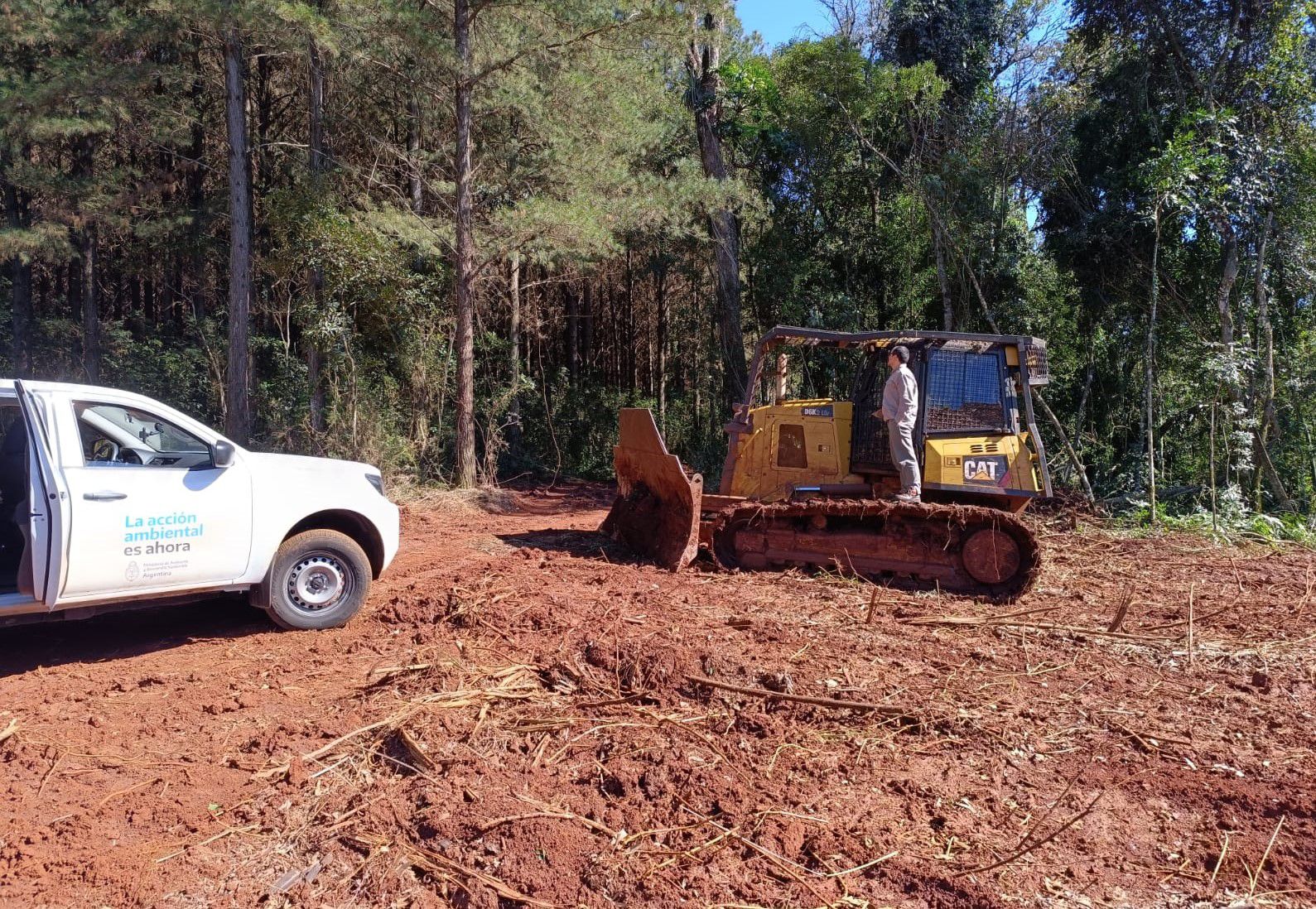 Inspectores del Ministerio de Ecología de Misiones lograron frenar un desmonte ilegal