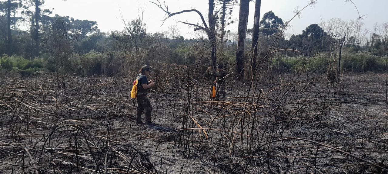 Misiones: Se incendió un sector del Parque Provincial Araucaria y el fuego fue rápidamente controlado