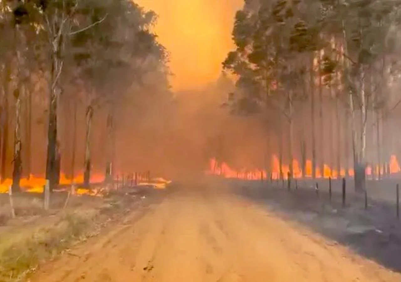 La lluvia logró extinguir más de 60 focos de incendios en Corrientes